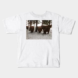 Scottish Highland Cattle Calves 1698 Kids T-Shirt